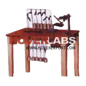 REHABILITATION EXERCISE THERAPY