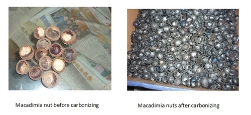 Macadimia nuts BEORE AND AFTER - Carbonization furnace