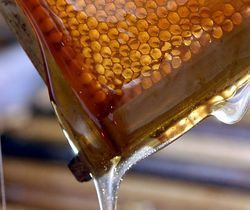 Comb Honey