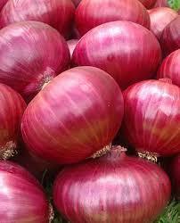 Fresh Onion
