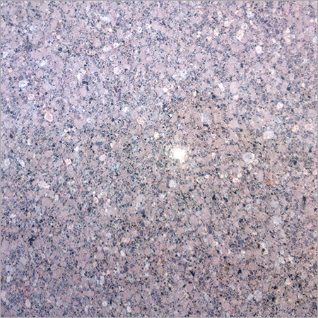 Anglo Grey Granite