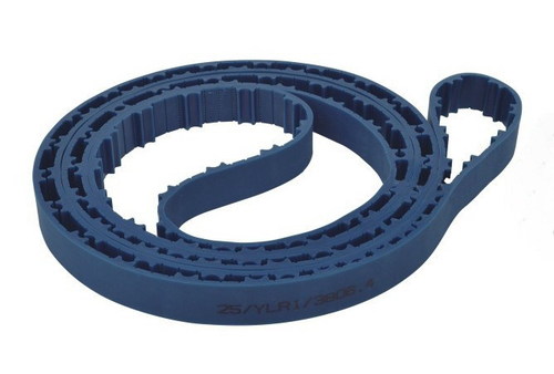 RITTER CARD BELT