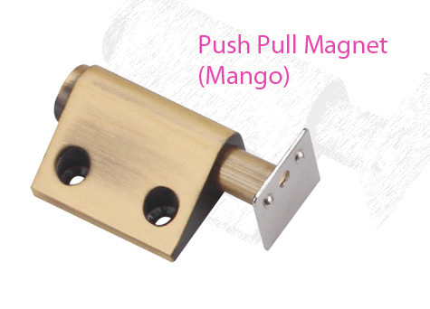Brass Mango Pull Push Magnet
