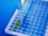 ELISA Kits