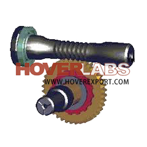 Worm Gear