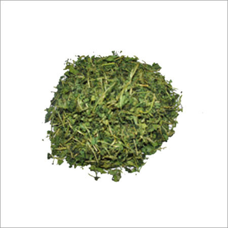 Dehydrated Drumstick Leaves