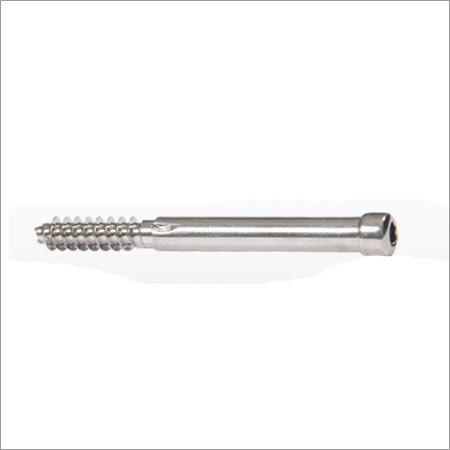 Proximal Bolt 8Mm