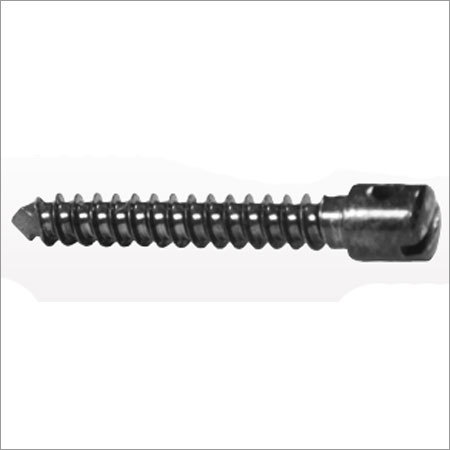 (Intra Maxillary Fixztion) Screw
