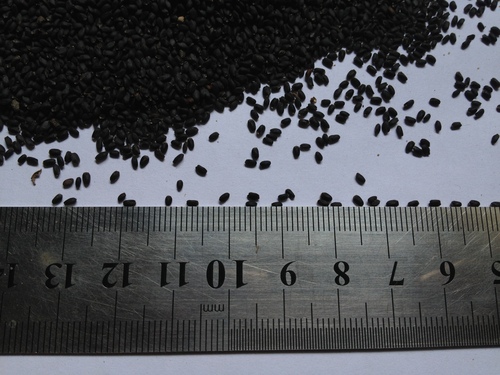Black Cumin Seeds