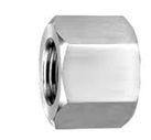 Hex Female Pipe Cap Nptf - Color: Silver