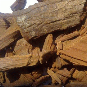 Herbal Extraction Plant & Phyto-Pharmaceuticals Herbal Extraction Plant & Phyto-Pharmaceuticals
