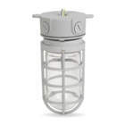 Hazardous Location Fixtures