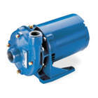 Centrifugal Pumps