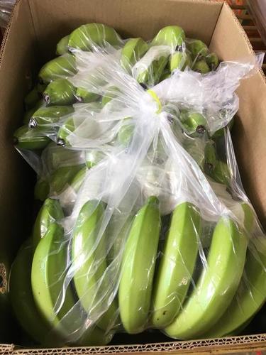 Fresh Cavendish Banana