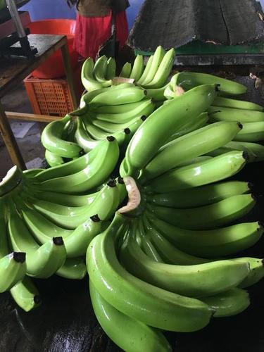 Green Cavendish Banana
