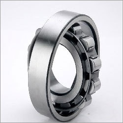 2200 Series Cylindrical Roller Bearing