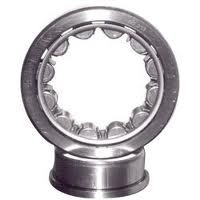 2300 Series Cylindrical Roller Bearing