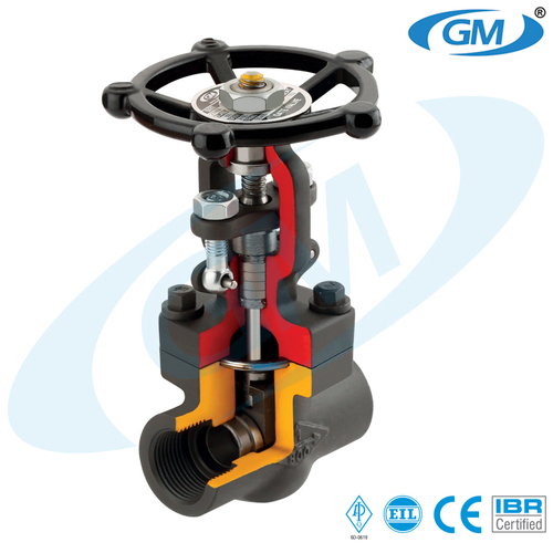 Multicolor Forged Gate Valve