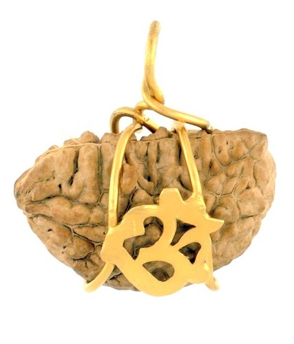 GJSPC Certified Ek Mukhi Kaju Dana Rudraksha Om Pendant