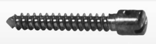 IMF Intra Maxillary Fixztion Screw