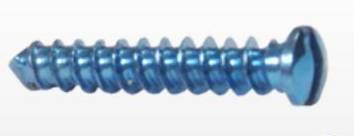 Mini Screw