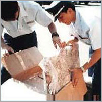 Custom Clearance Services