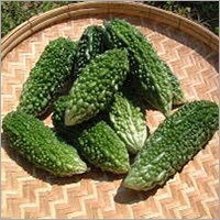 Bitter Gourd