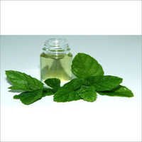 Mentha Piperita Oil