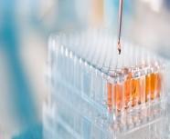 Biological Sample Testing Services