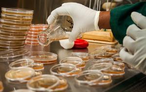 Environmental Testing & Analysis