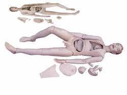 High Quality Nurse Training Doll (Female)