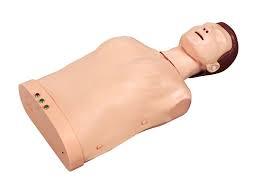 Basic CPR Training Model (Half Body) - High Class Material, Half Body, Lower Dental Arch, Tongue | Teeth Form, Oral Cavity Cleaning and Protection