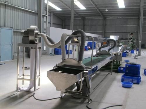 Cashew Kernel Packing Machine