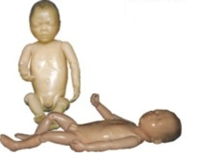 Newborn Model (Baby Model)