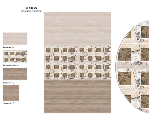 Digital Ceramic Wall Tiles 300x600 MM