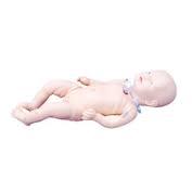 Advanced Newborn Care Model