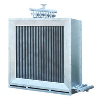 Steam Heat Exchanger - Finned Tube Type, White, 220-440 Volt | Corrosion Resistant, 15-20% Steam Savings, Easy Maintenance
