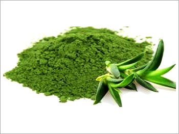 Aloe Vera Powder