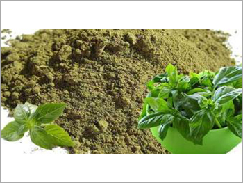 Tulsi Powder