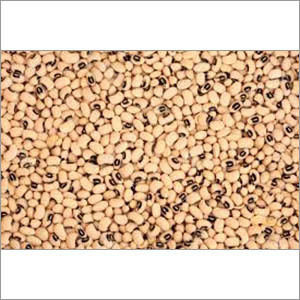 Organic Pulses