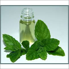 Mentha Piperita (Natural & Blend Piperita)