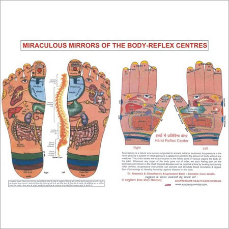 ACP Foot & Hand Reflexology Chart