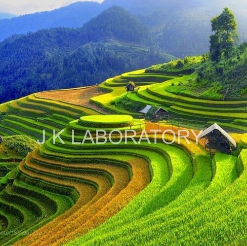 Agriculture Testing Services