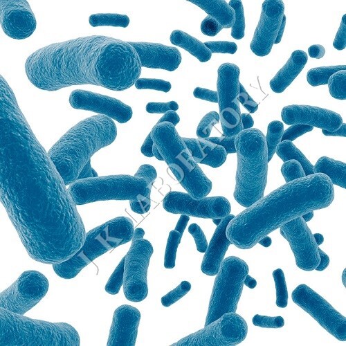 Clinical Testing સેવાઓ