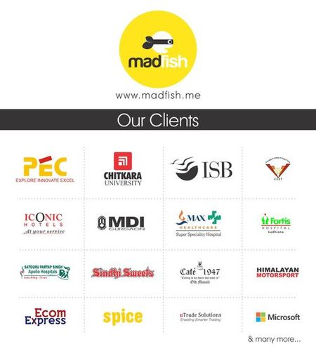 Our Clients