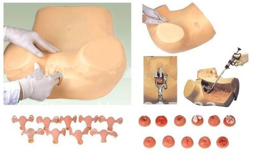 Gynecological Training Simulator