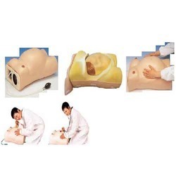 Advanced Maternity Model