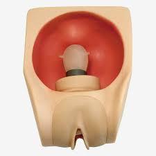 Female Contraception Practice Model - 23x17x14 cm, High Class Material, Uterus and Vagina Simulation, Speculum, Condom, Sponge, Cervical Cap Training