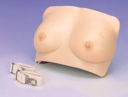 Breast Examination Model