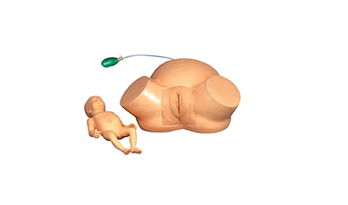 Dystocia Training Simulator
